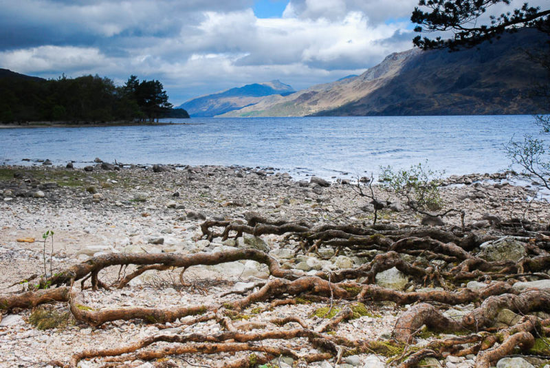 lochmaree