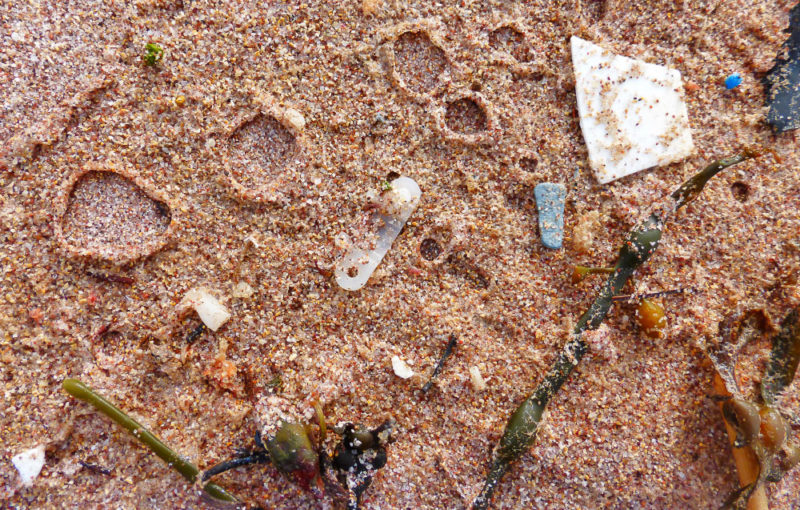 Microplastics and other fragments washed ashore at Sandwood Bay.