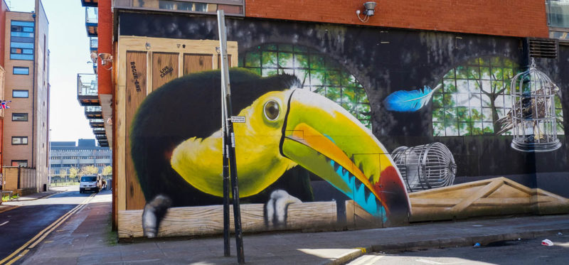 bird