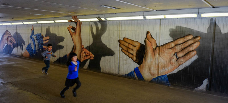 shadowpuppets