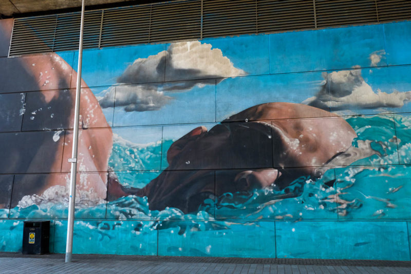 swimmer