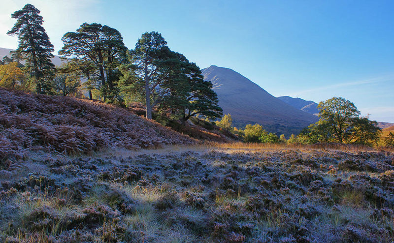 Does autumn start with the first frost?