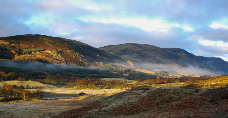 clova