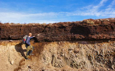 FEATURE: Why we should care about peat