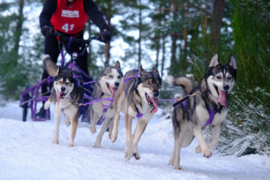 FEATURE: Discovering Aviemore