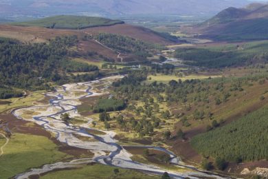 FEATURE: The Glen