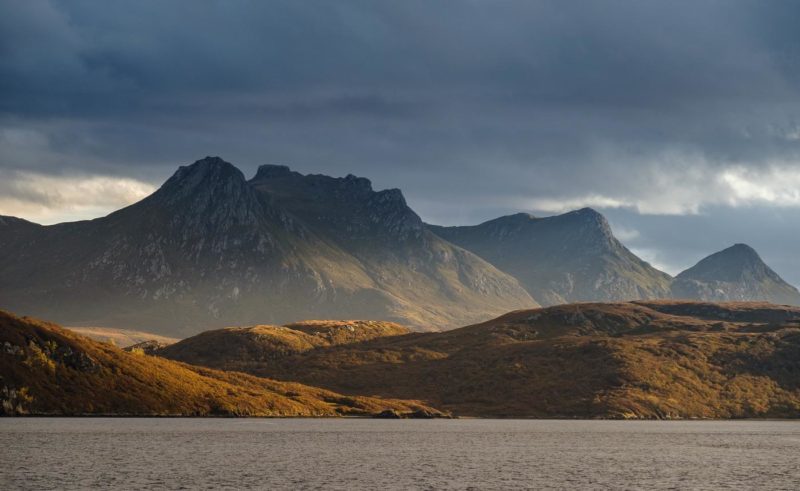 Ben Loyal