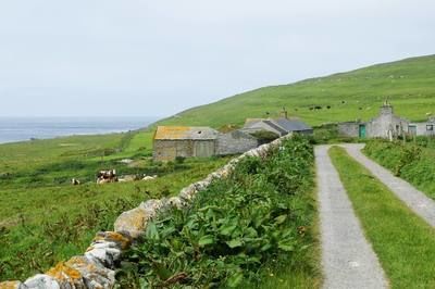Walk photo