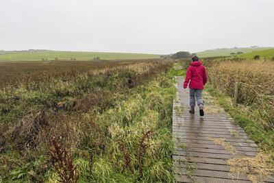 Walk photo