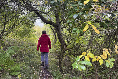 Walk photo
