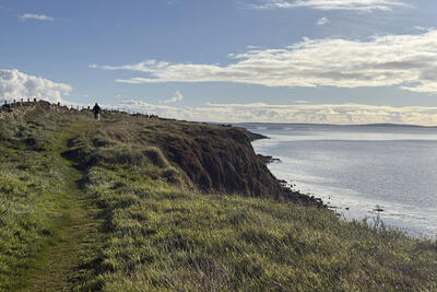 Walk photo