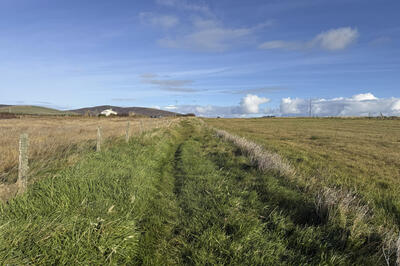 Walk photo