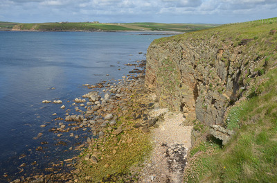 Walk photo