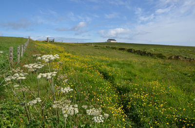 Walk photo