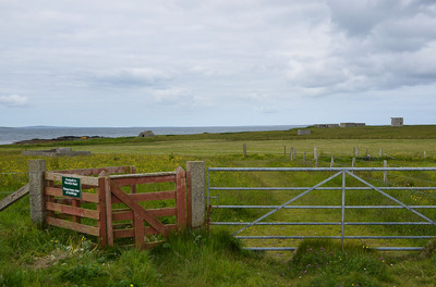 Walk photo