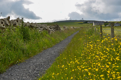 Walk photo