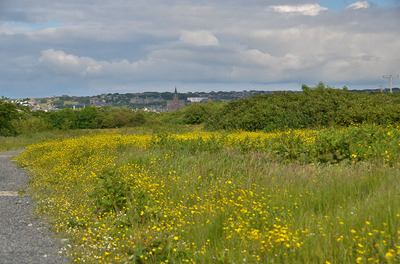 Walk photo