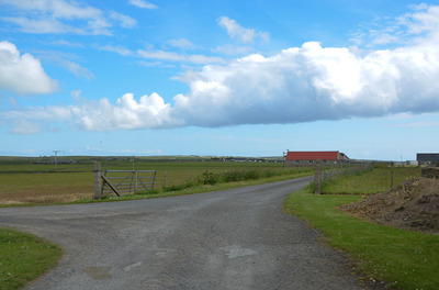 Walk photo