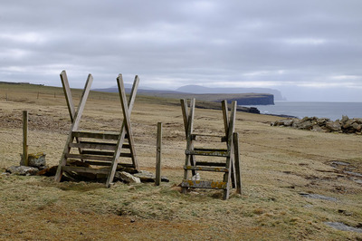 Walk photo