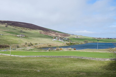 Walk photo