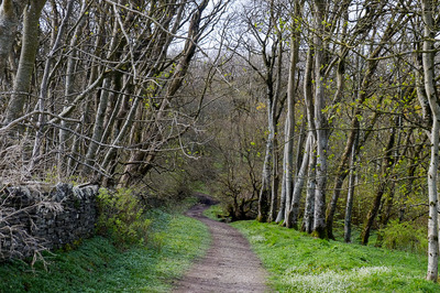 Walk photo