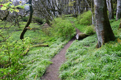 Walk photo