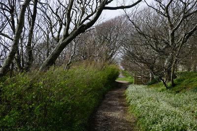 Walk photo