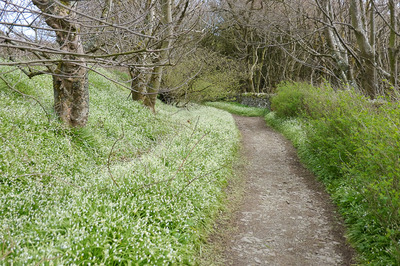 Walk photo