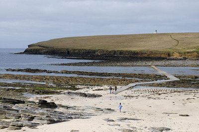Walk photo