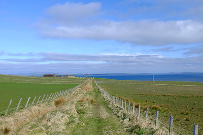 Walk photo