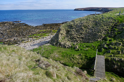 Walk photo