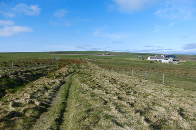 Walk photo