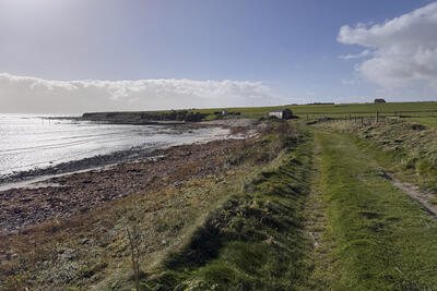 Walk photo