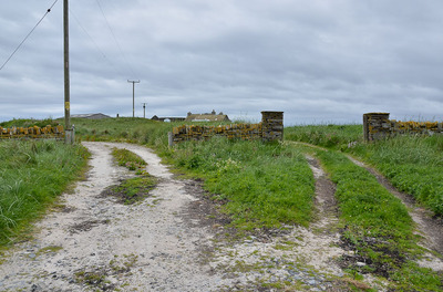 Walk photo