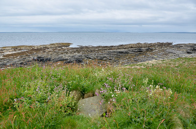Walk photo