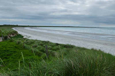 Walk photo