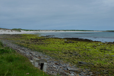 Walk photo