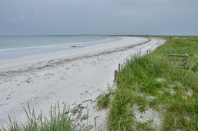 Walk photo
