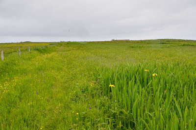 Walk photo