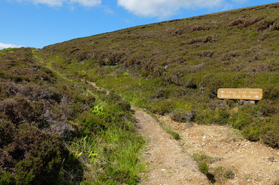 Walk photo