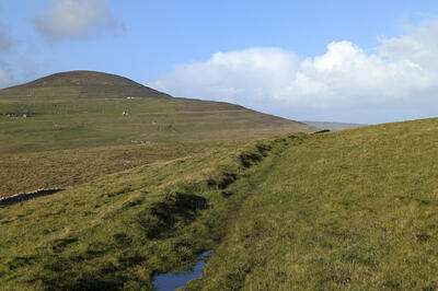 Walk photo