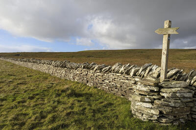 Walk photo