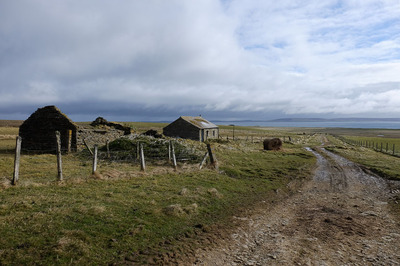 Walk photo