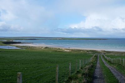 Walk photo