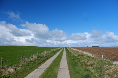 Walk photo