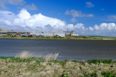Walk photo