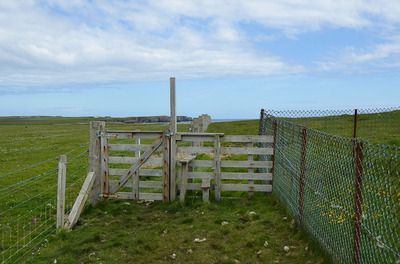 Walk photo