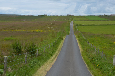 Walk photo