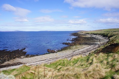 Walk photo