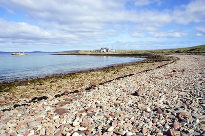 Walk photo